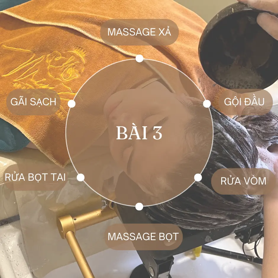 dao-tao-3 Dao Tao 3