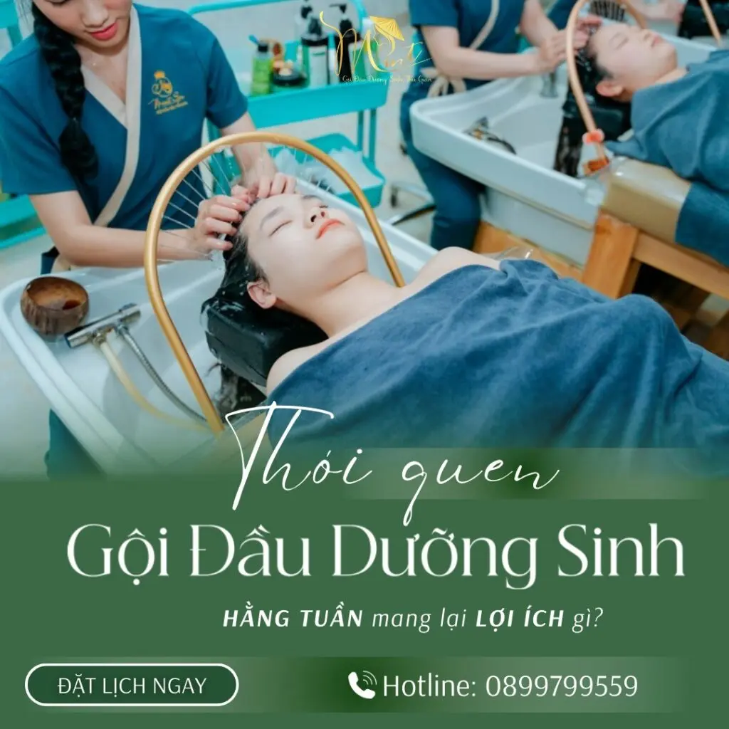 Goi Dau Duong Sinh Quan1
