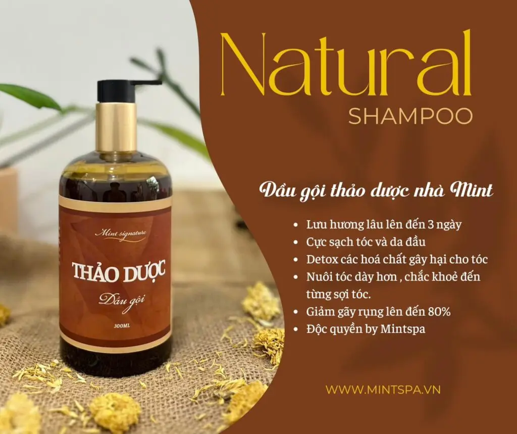 Dau Goi Thao Duoc Nha Mint